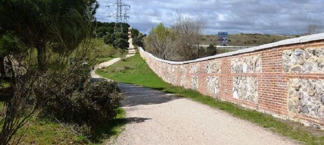 tapia8