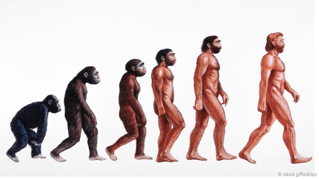 humanos8
