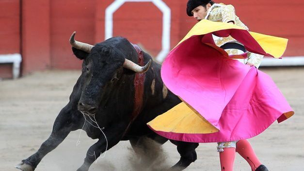Tauromaquia-Patrimonio-Cultural